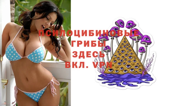 прущие грибы Новоульяновск