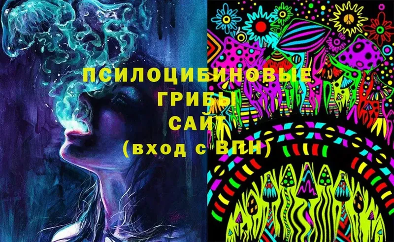 Псилоцибиновые грибы Psilocybe  купить закладку  Артёмовский 