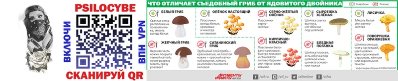 Галлюциногенные грибы Psilocybe  купить наркотик  Артёмовский 